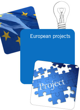 carte dei diritti unione europea